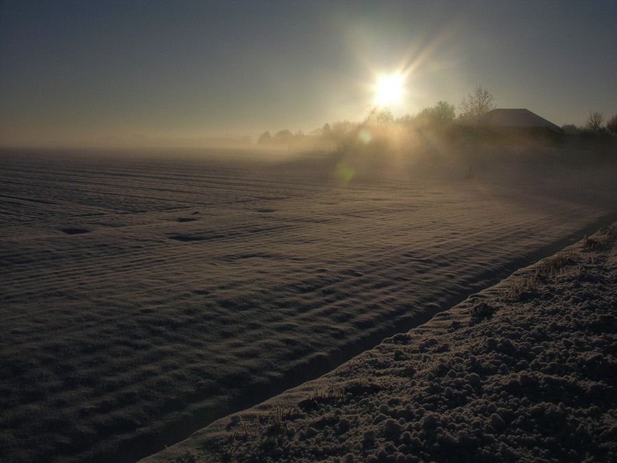 Wintermorgennebel von Max J. Maier