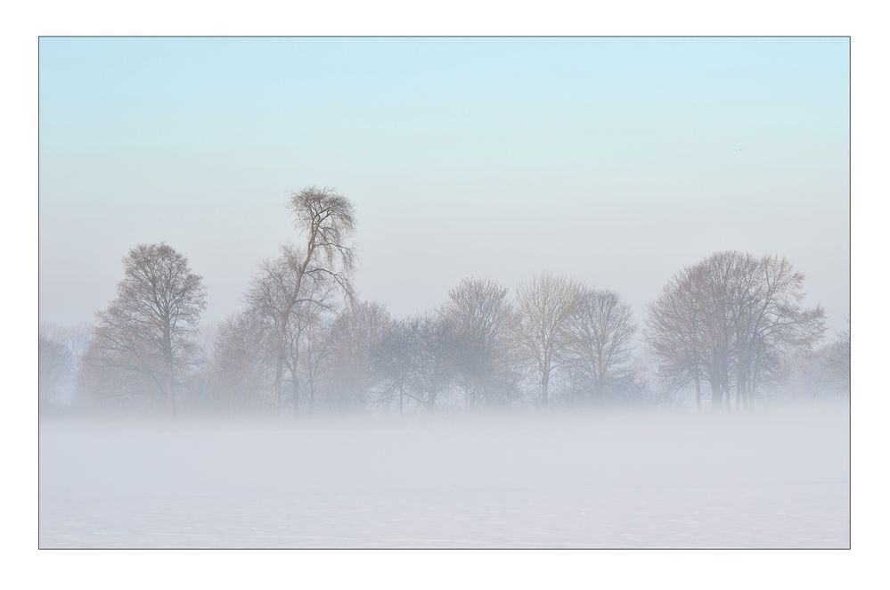 Wintermorgennebel