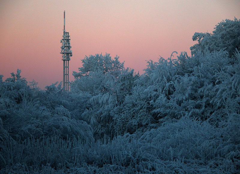 Wintermorgenröte