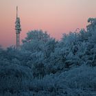 Wintermorgenröte