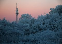 Wintermorgenröte