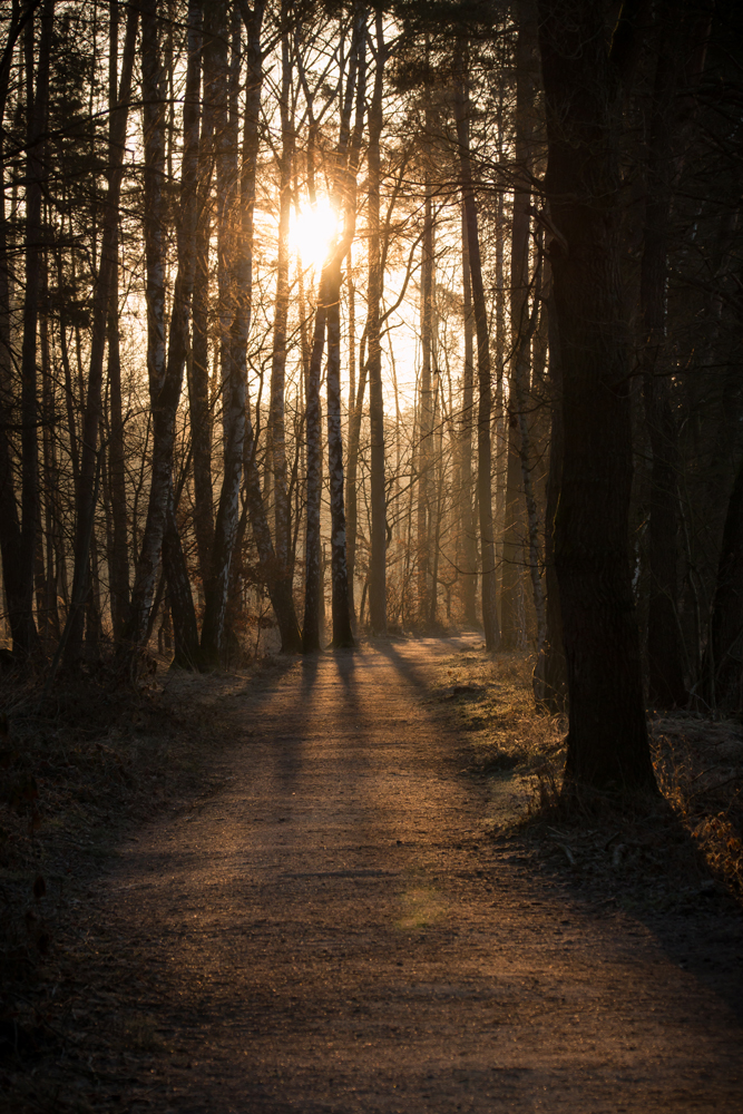 Wintermorgensonne