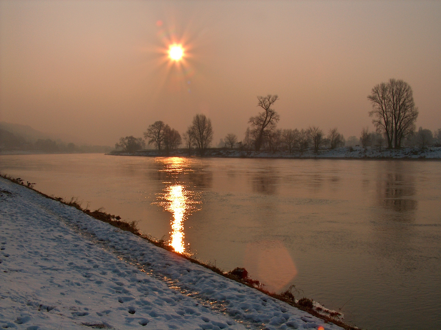 Wintermorgensonne an der Elbe