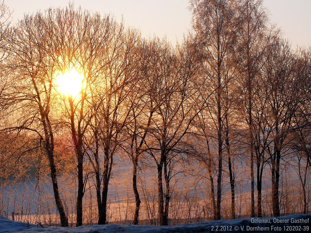 Wintermorgensonne bei Gelenau