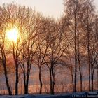 Wintermorgensonne bei Gelenau