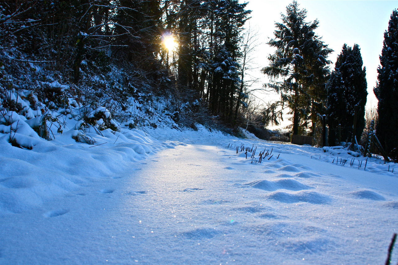 Wintermorgenspaziergang