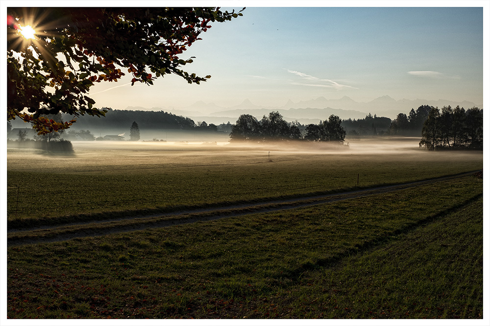 Wintermorgenstimmung