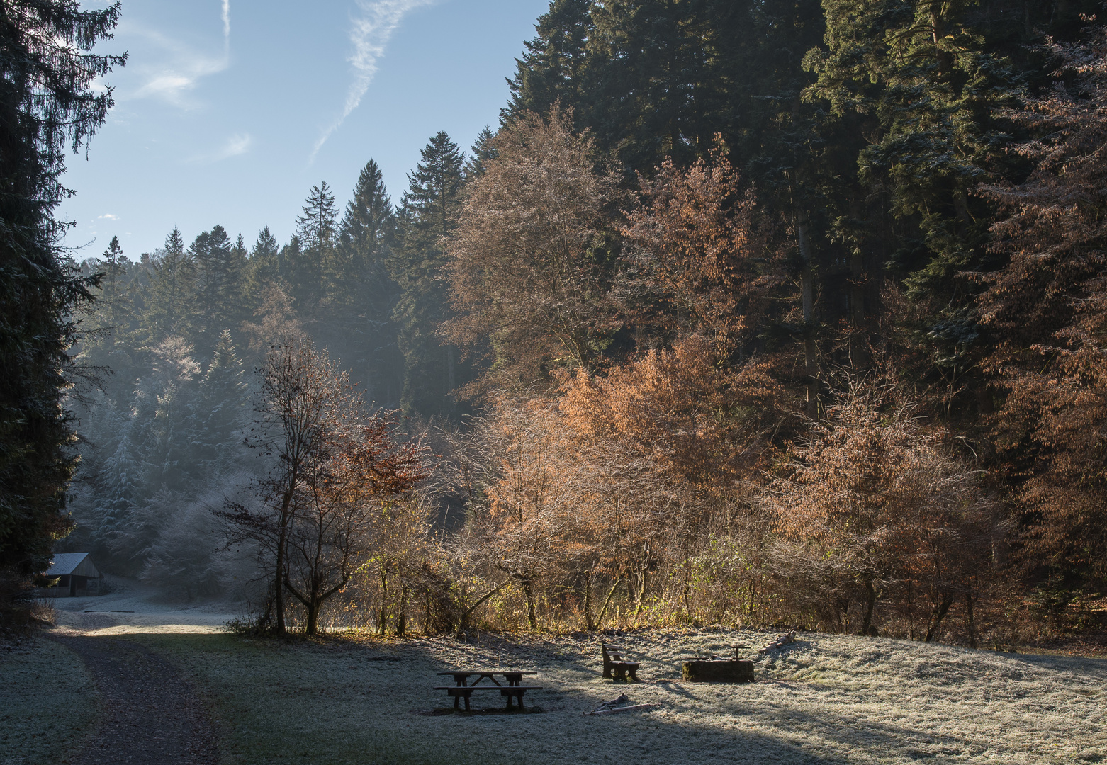 Wintermorgenstimmung im Monbachtal