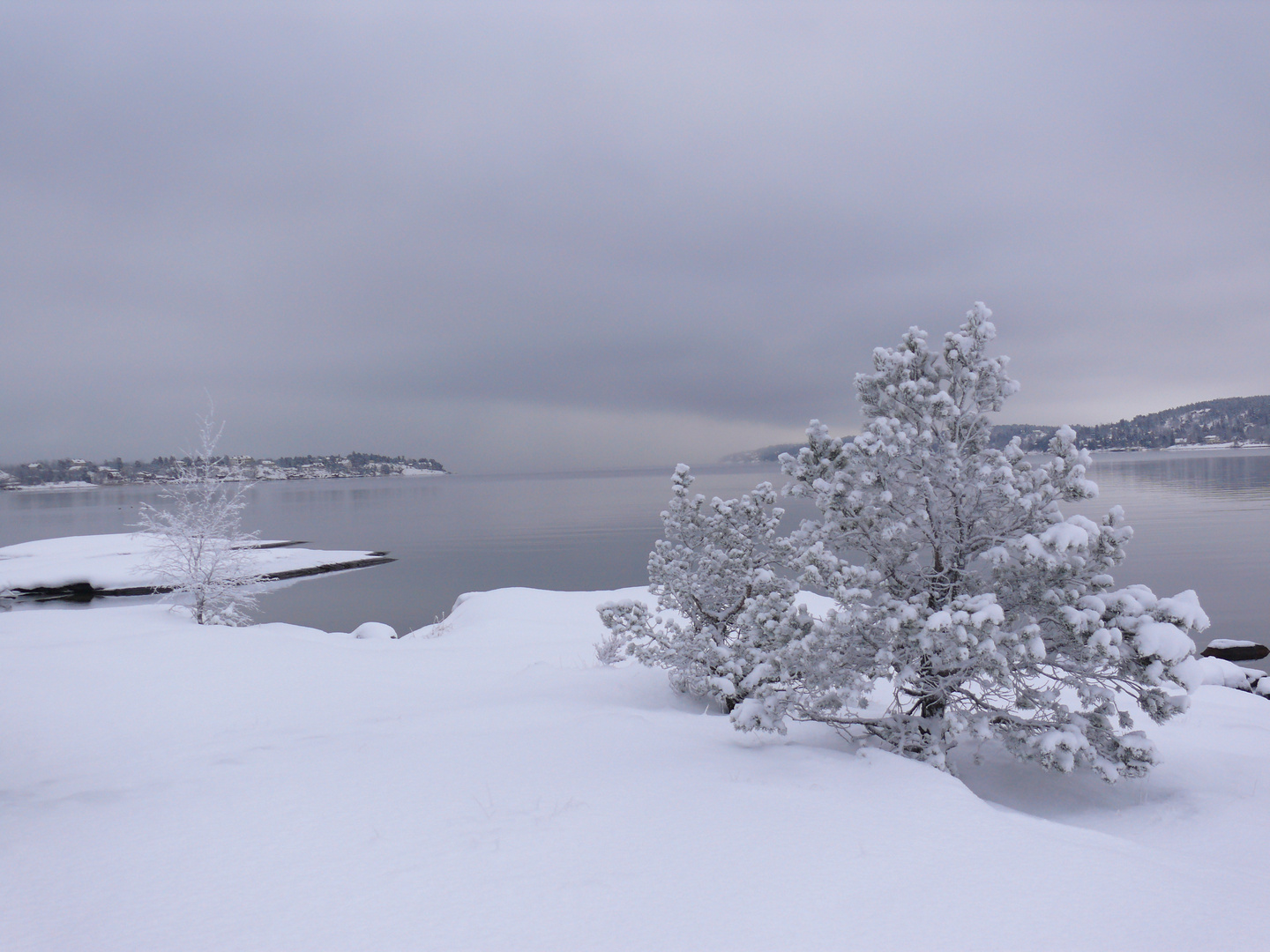 Wintermorning by the sea