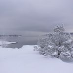 Wintermorning by the sea