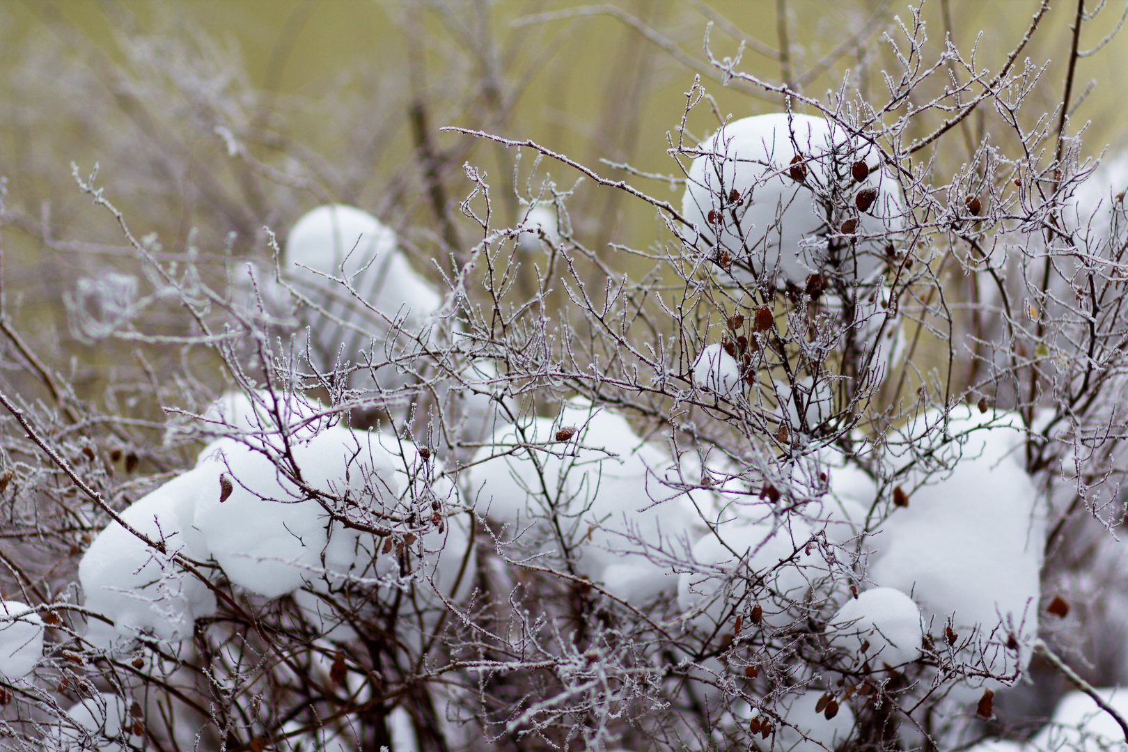 Wintermotiv