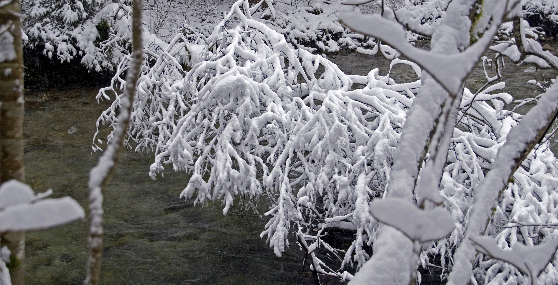 Wintermotiv im Vilstal bei Pfronten