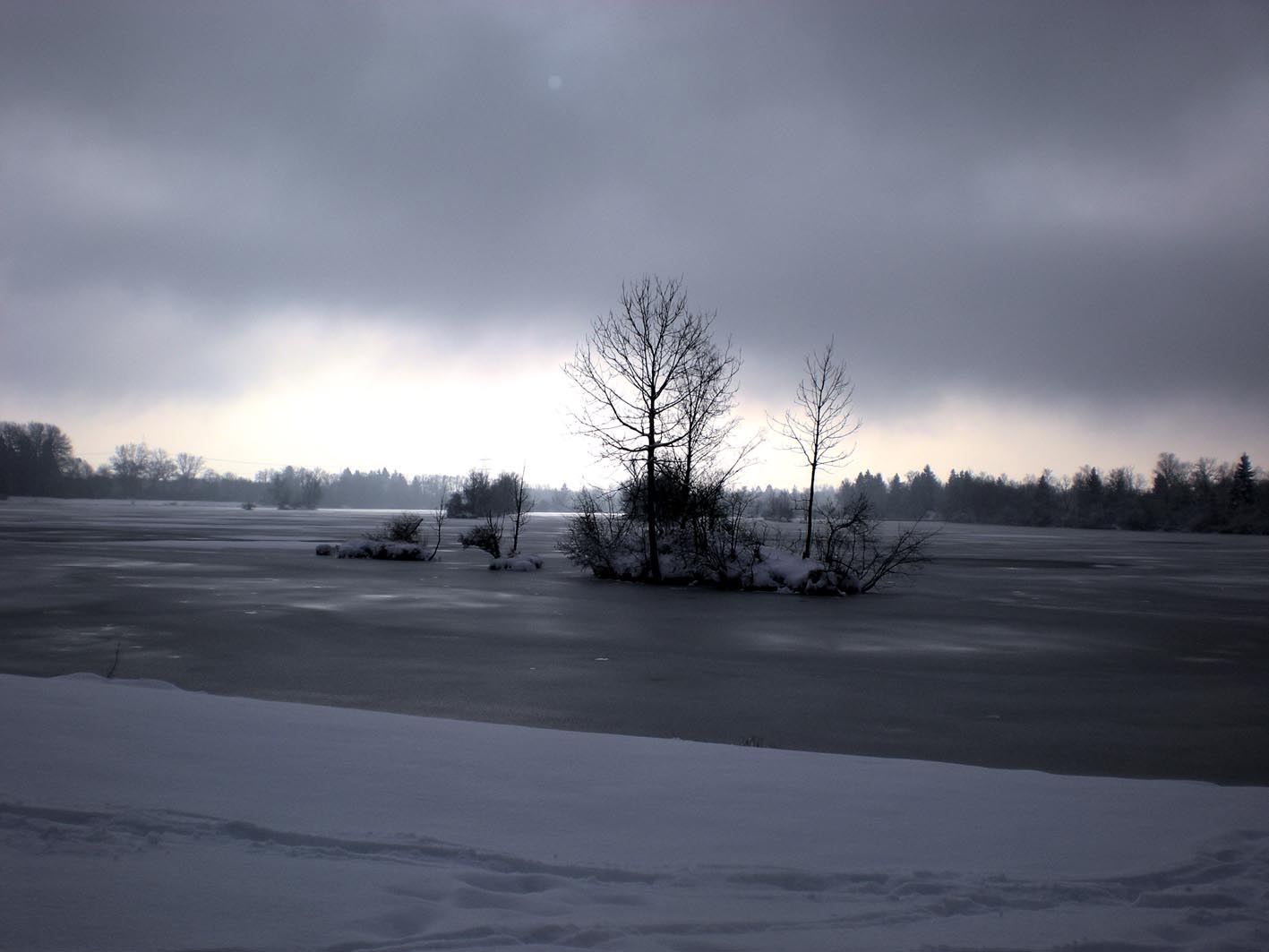 Wintermystik am Weitmannsee