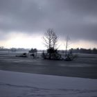 Wintermystik am Weitmannsee