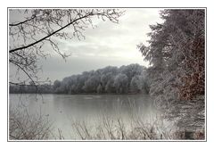 Winternachlese I