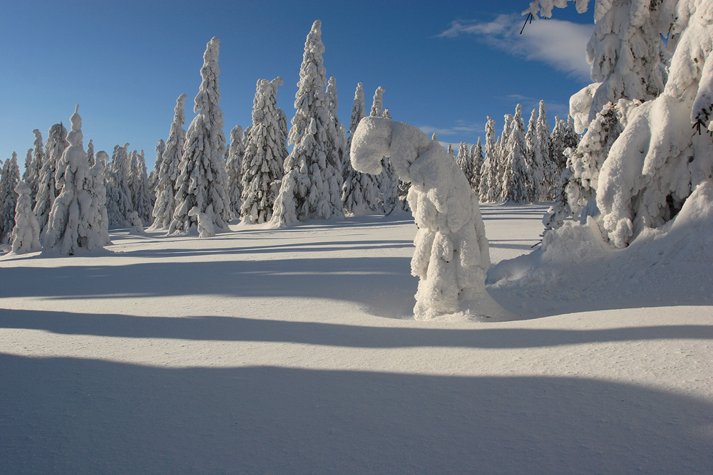 Winternachmittag