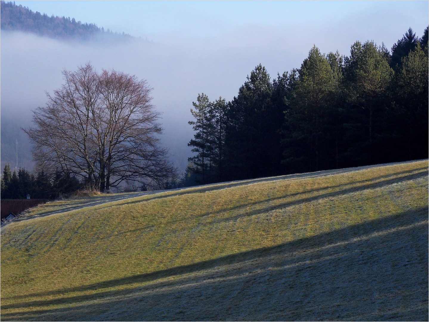 Winternachmittag