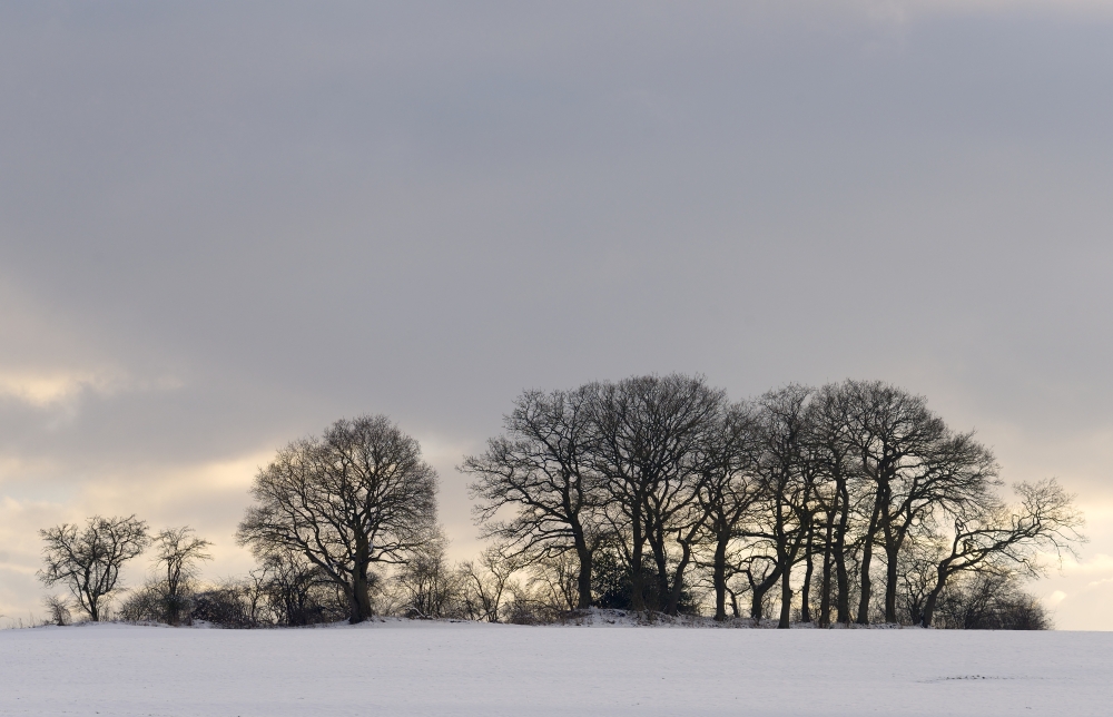 Winternachmittag