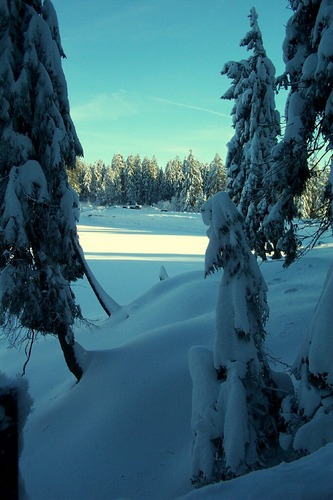 Winternachmittag