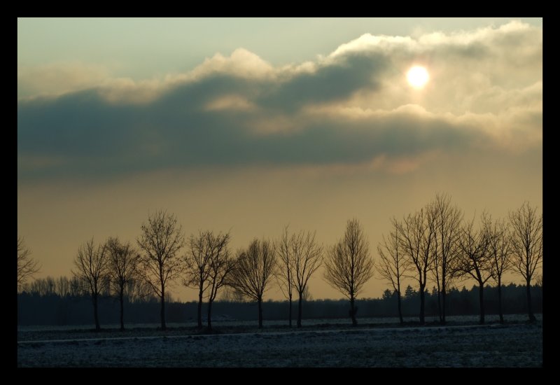 Winternachmittag