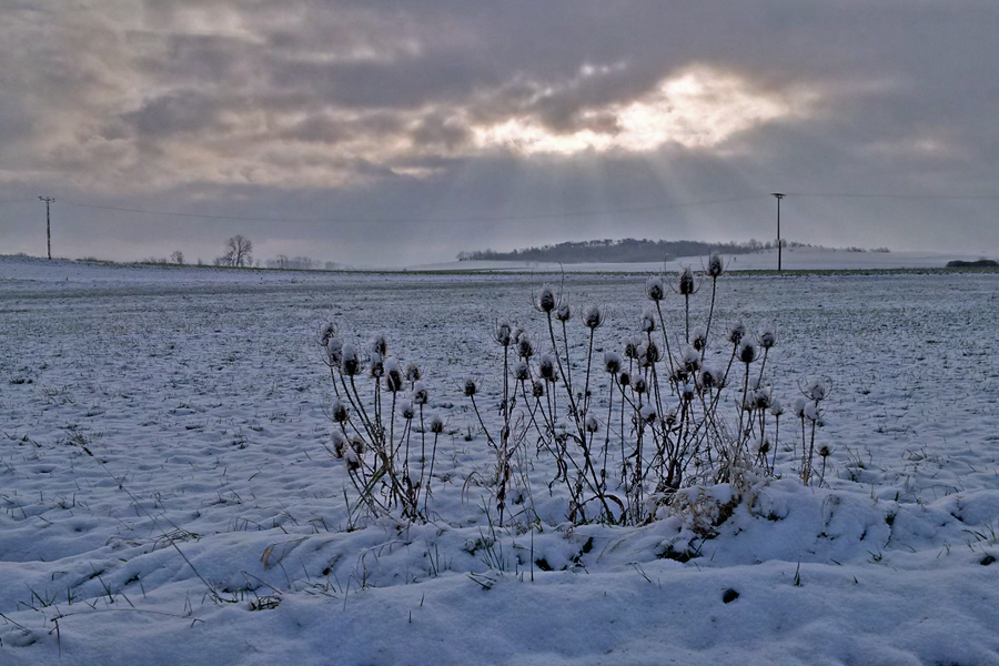 Winter.Nachmittag