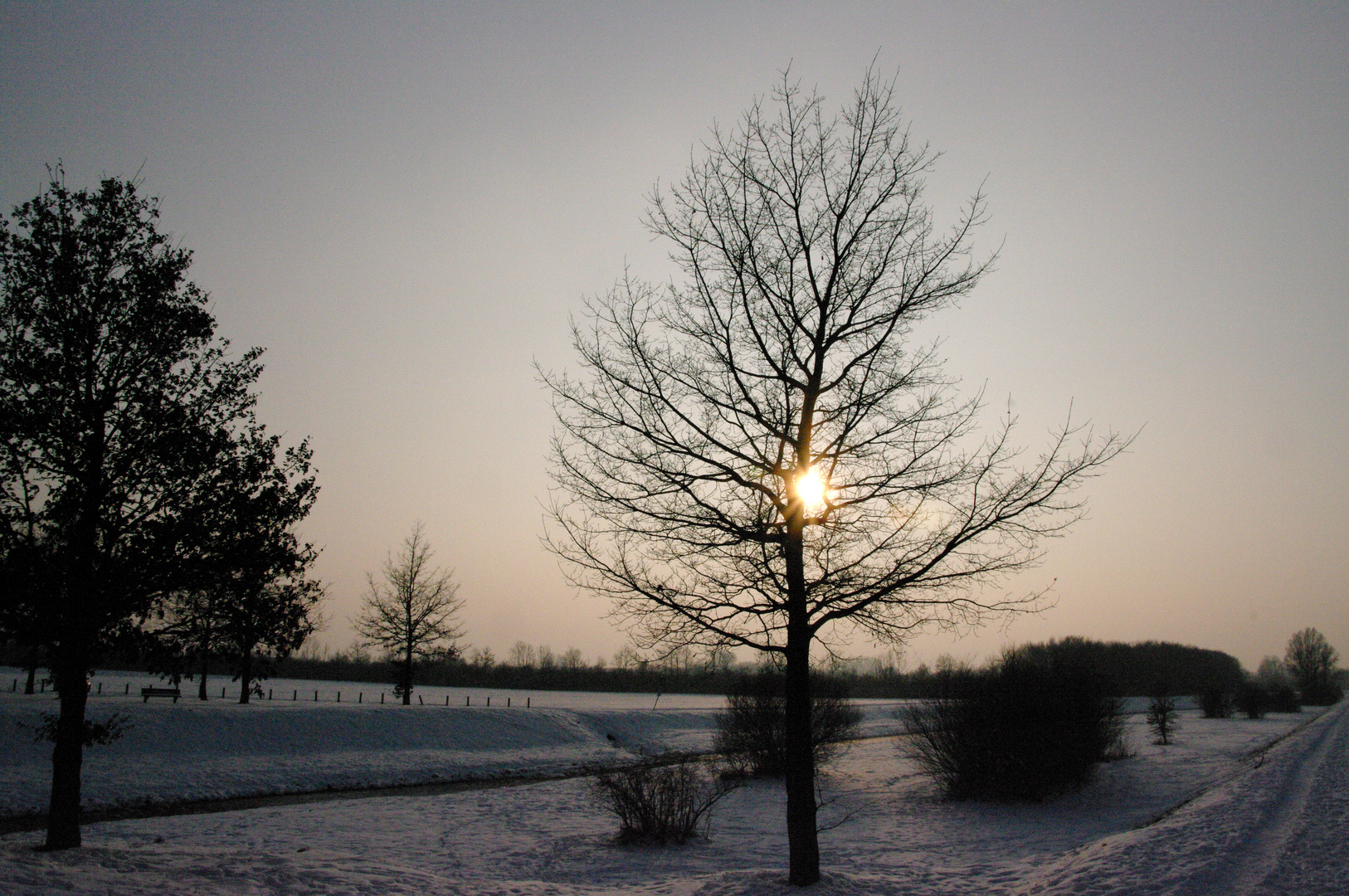 Winternachmittag