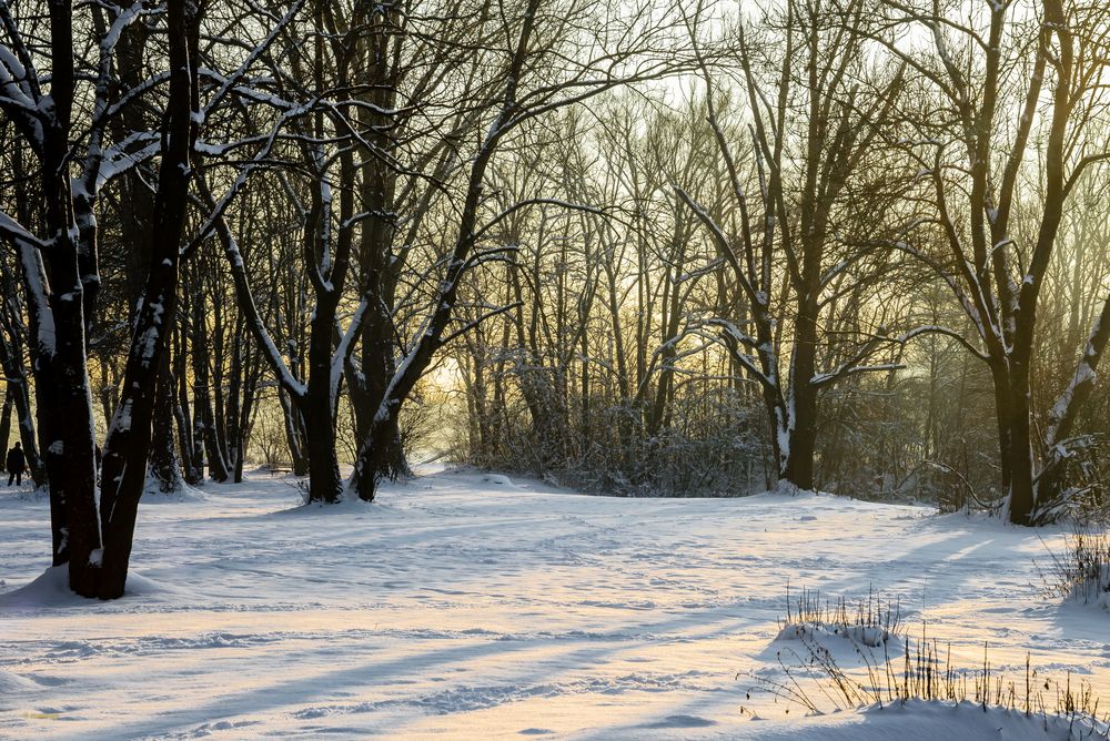 Winternachmittag