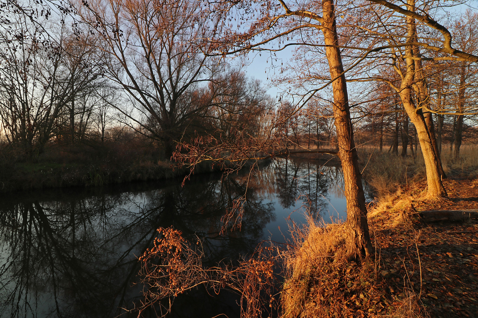 Winternachmittag am Fluss