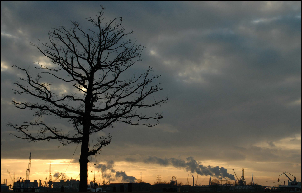 Winternachmittag am Hamburger Hafen