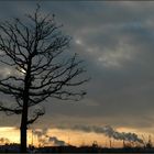 Winternachmittag am Hamburger Hafen