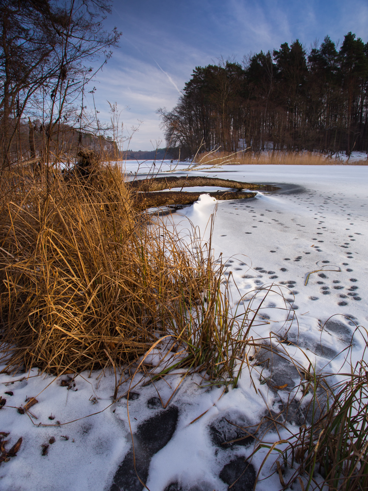 Winternachmittag am See