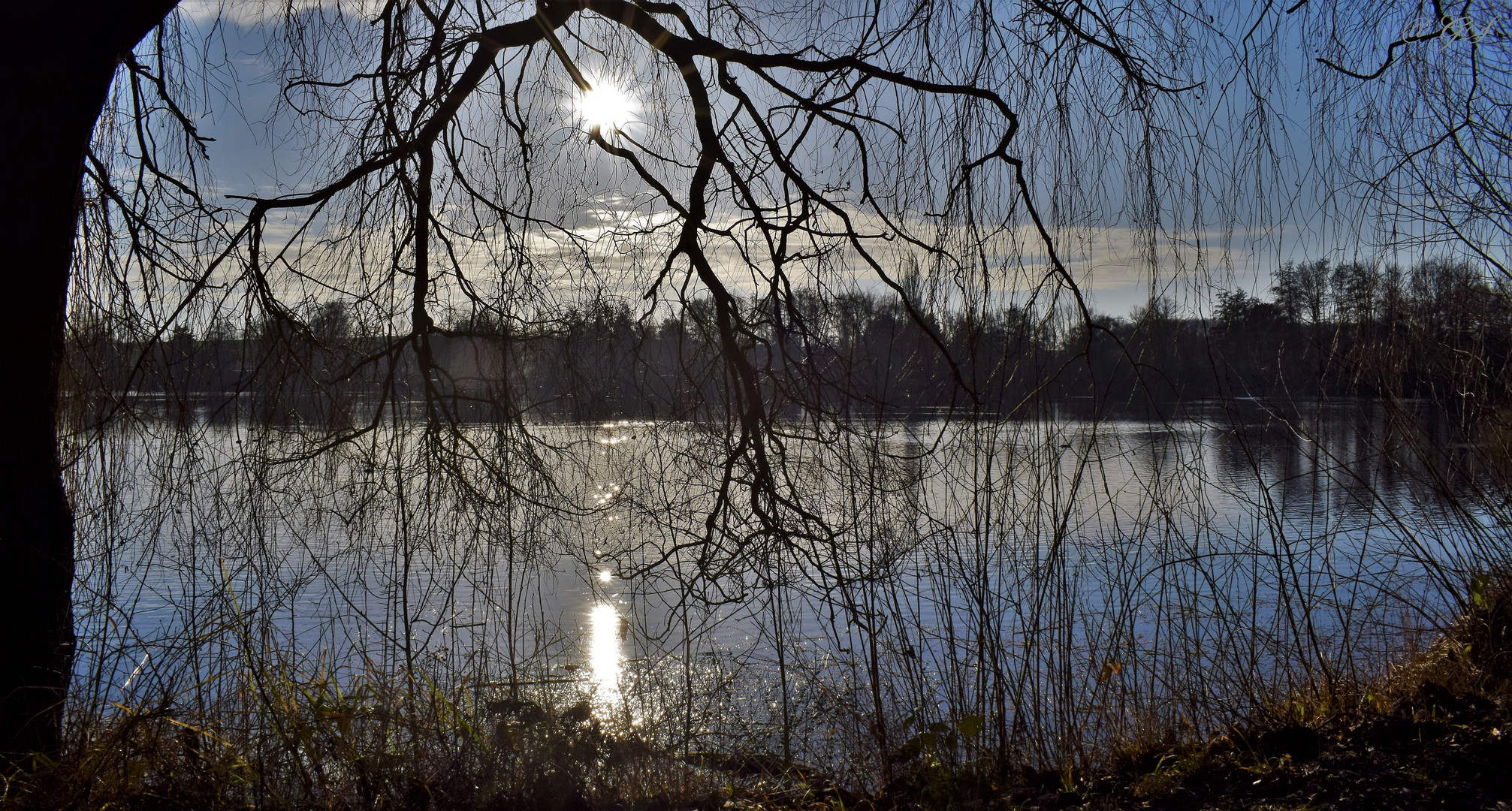 Winternachmittag am See 2