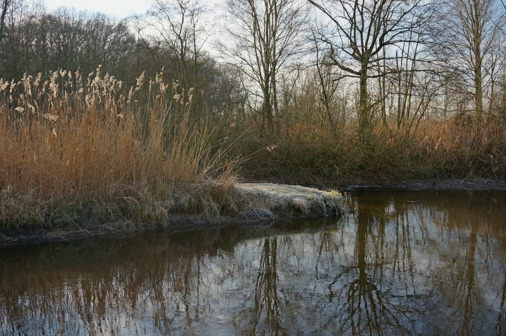 Winternachmittag an der Niers  II