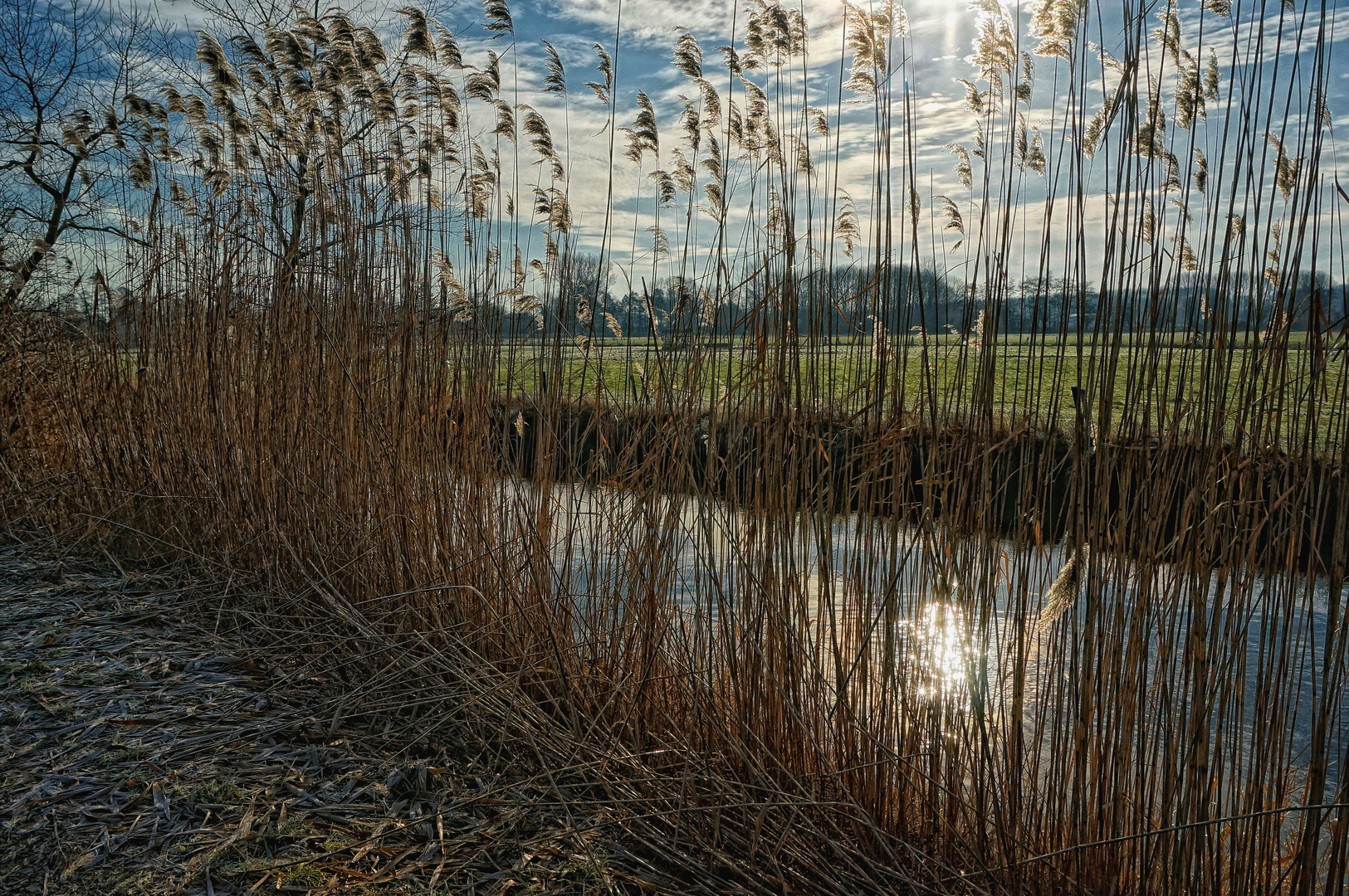 Winternachmittag an der Niers  III