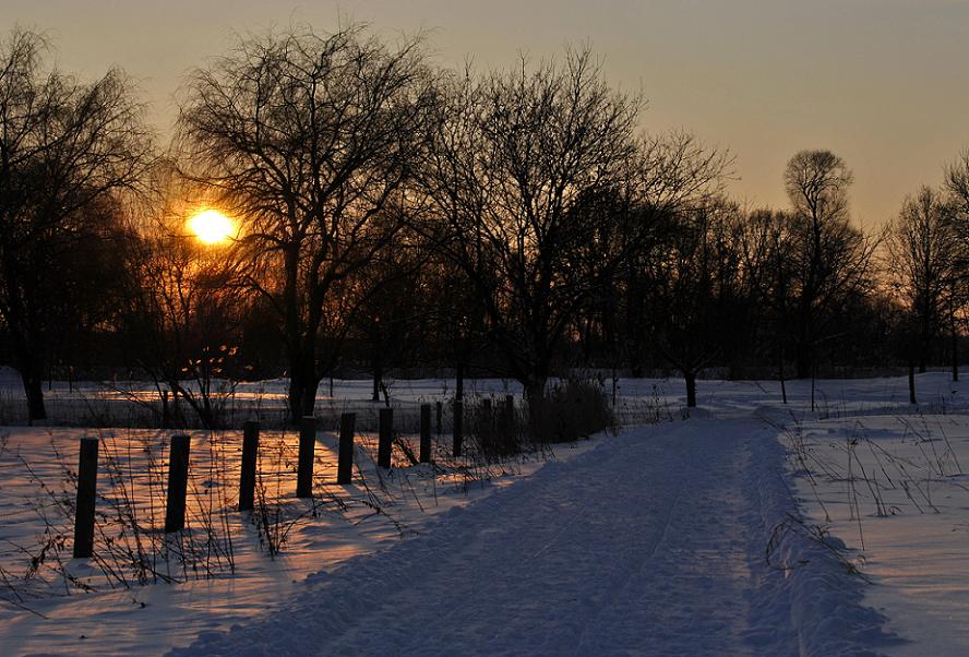 Winternachmittag  - an der Pferdekoppel