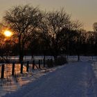 Winternachmittag  - an der Pferdekoppel