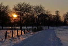 Winternachmittag  - an der Pferdekoppel