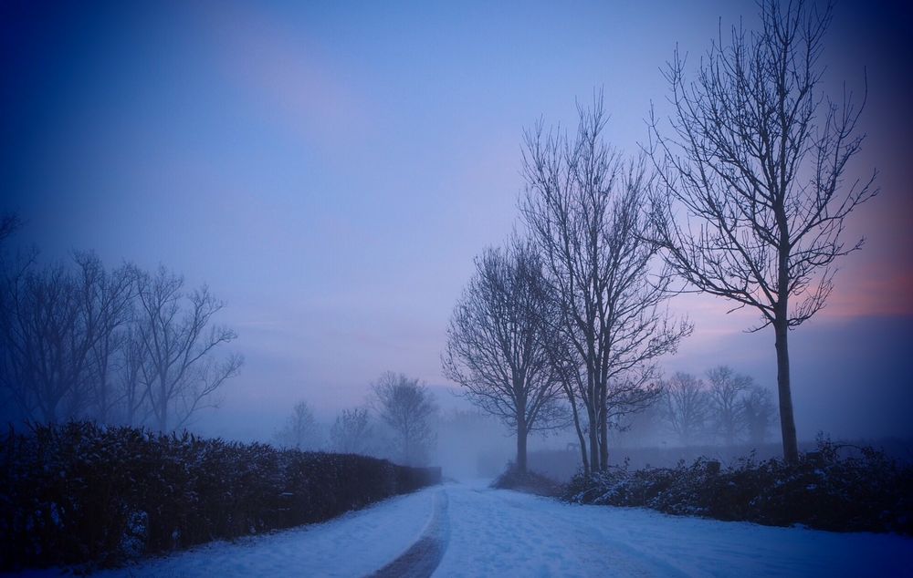 Winternachmittag