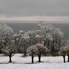 Winternachmittag