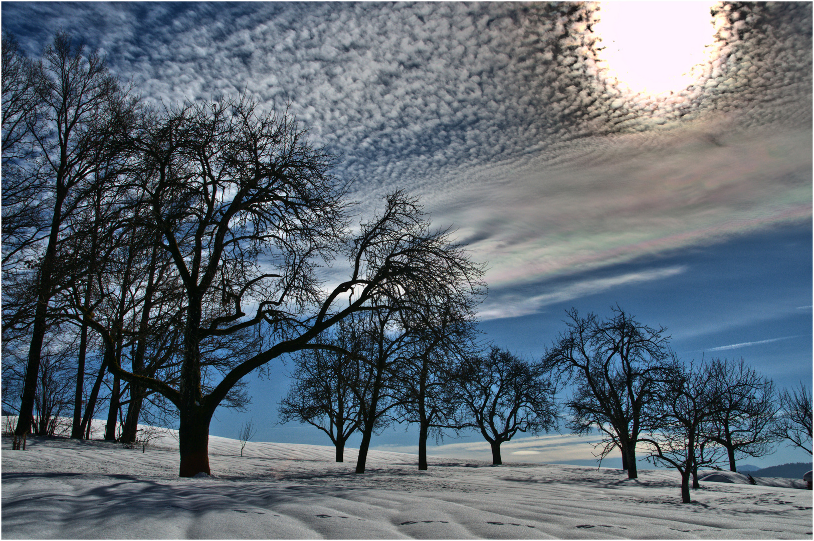 Winternachmittag