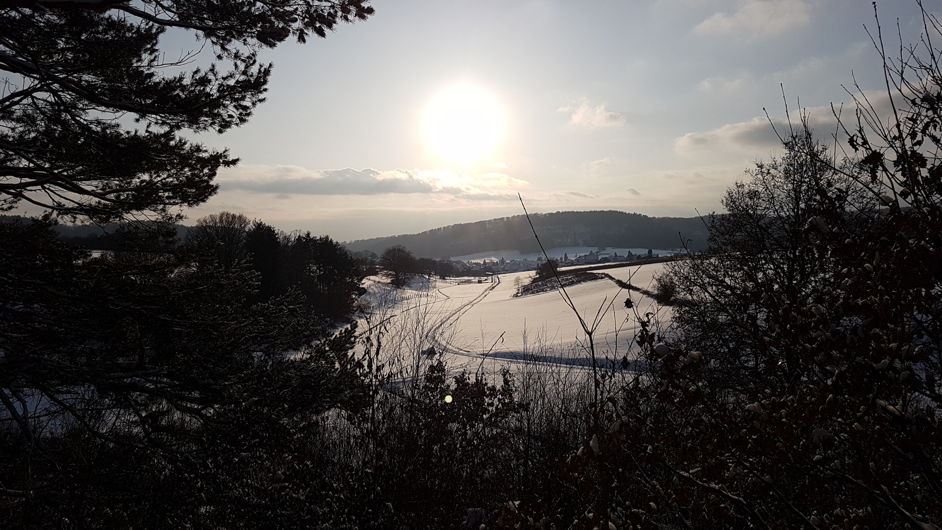 Winternachmittag bei Bracht