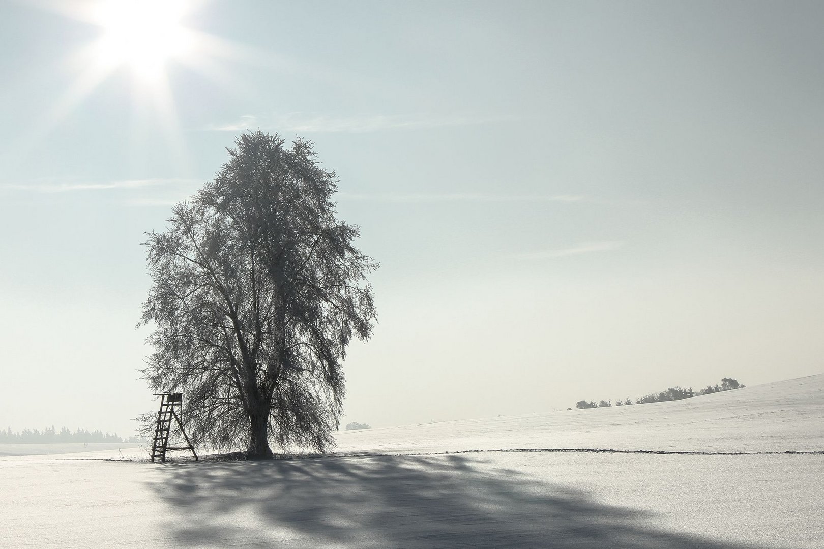 Winternachmittag