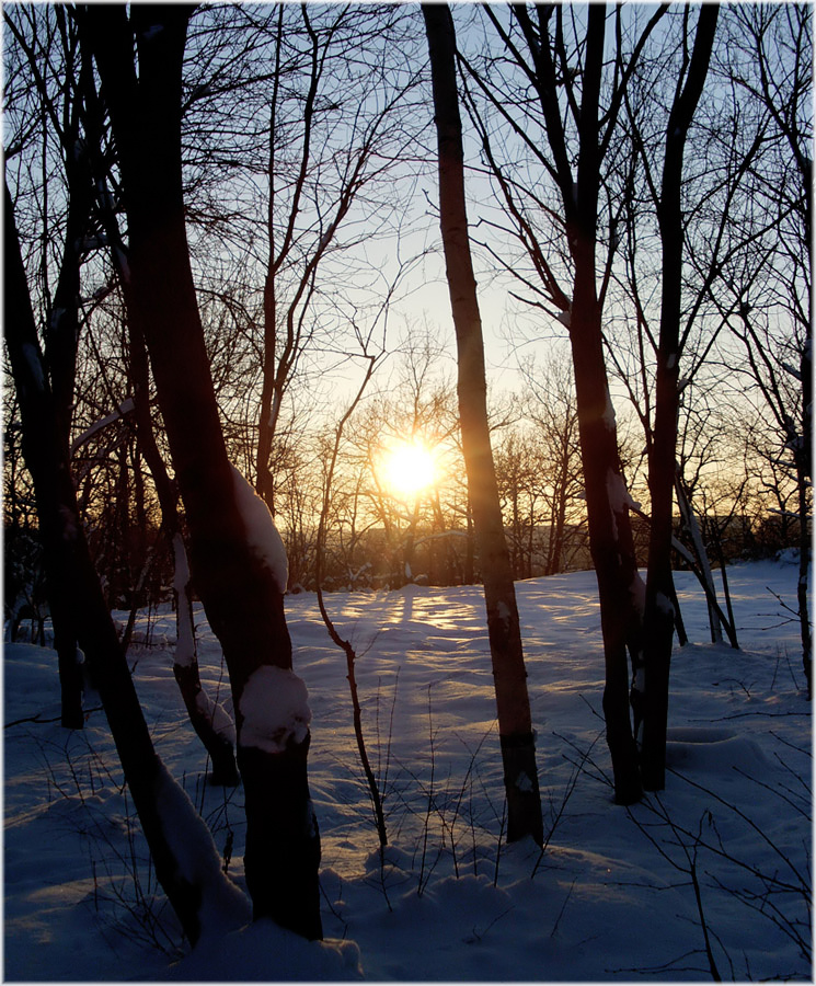 Winternachmittag