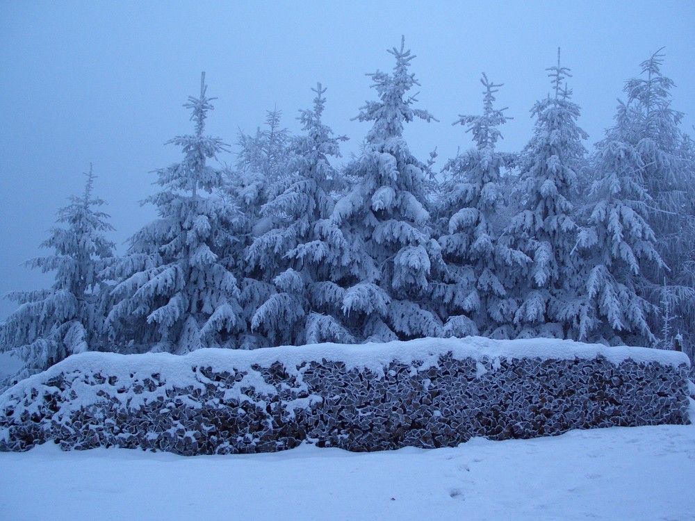 Winternachmittag I