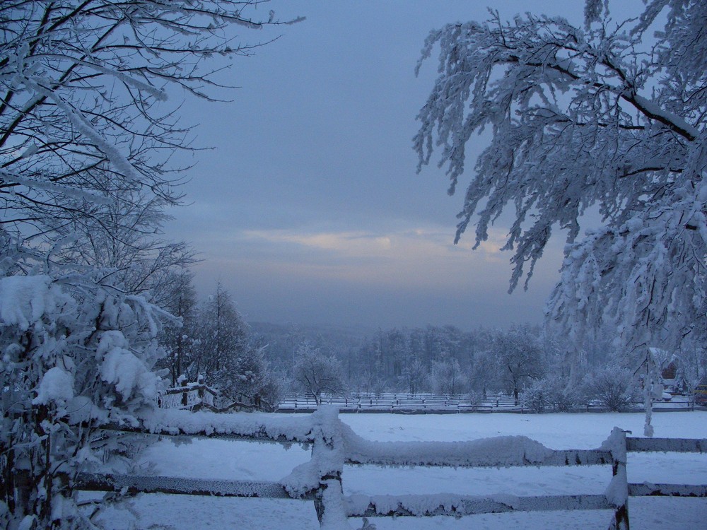 Winternachmittag III von Maryim 