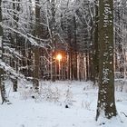 Winternachmittag im Bergwald