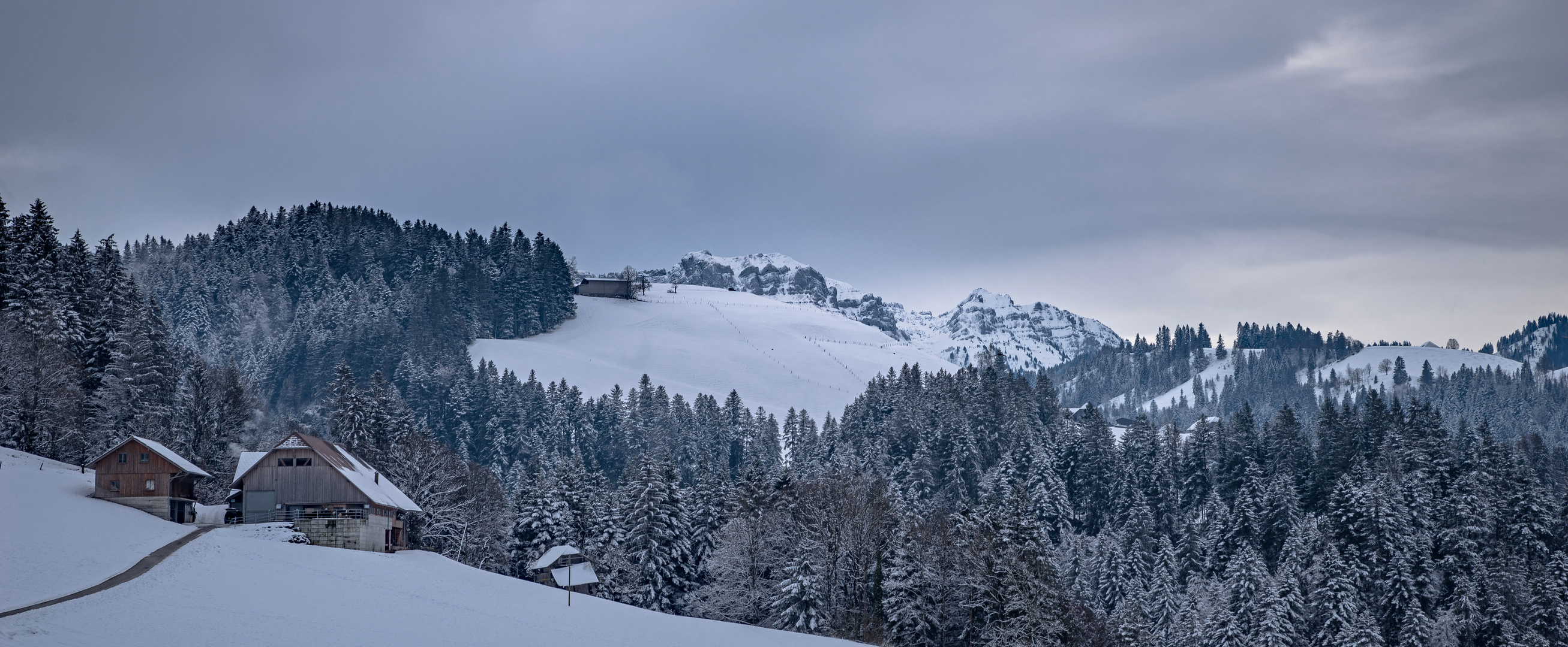 Winternachmittag in den Voralpen