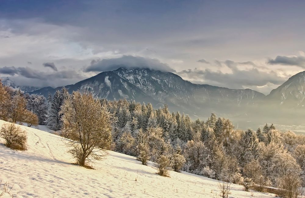 Winternachmittag in Kärnten II