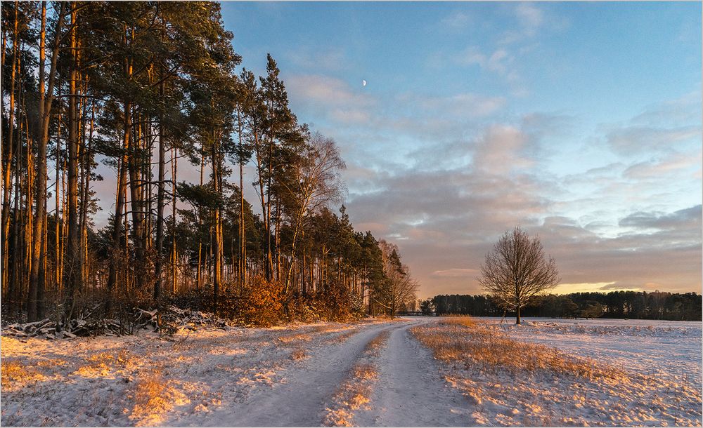 Winternachmittags-Licht