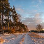 Winternachmittags-Licht